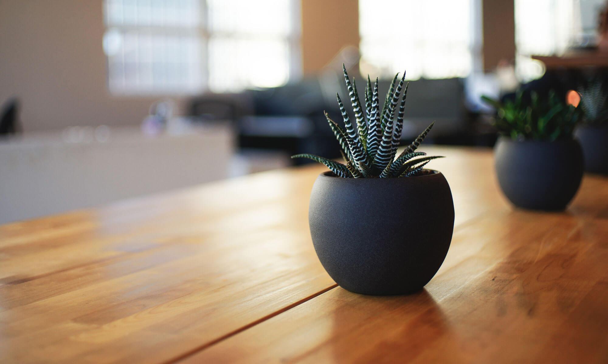 Pleasing Leasing - Residential Spaces